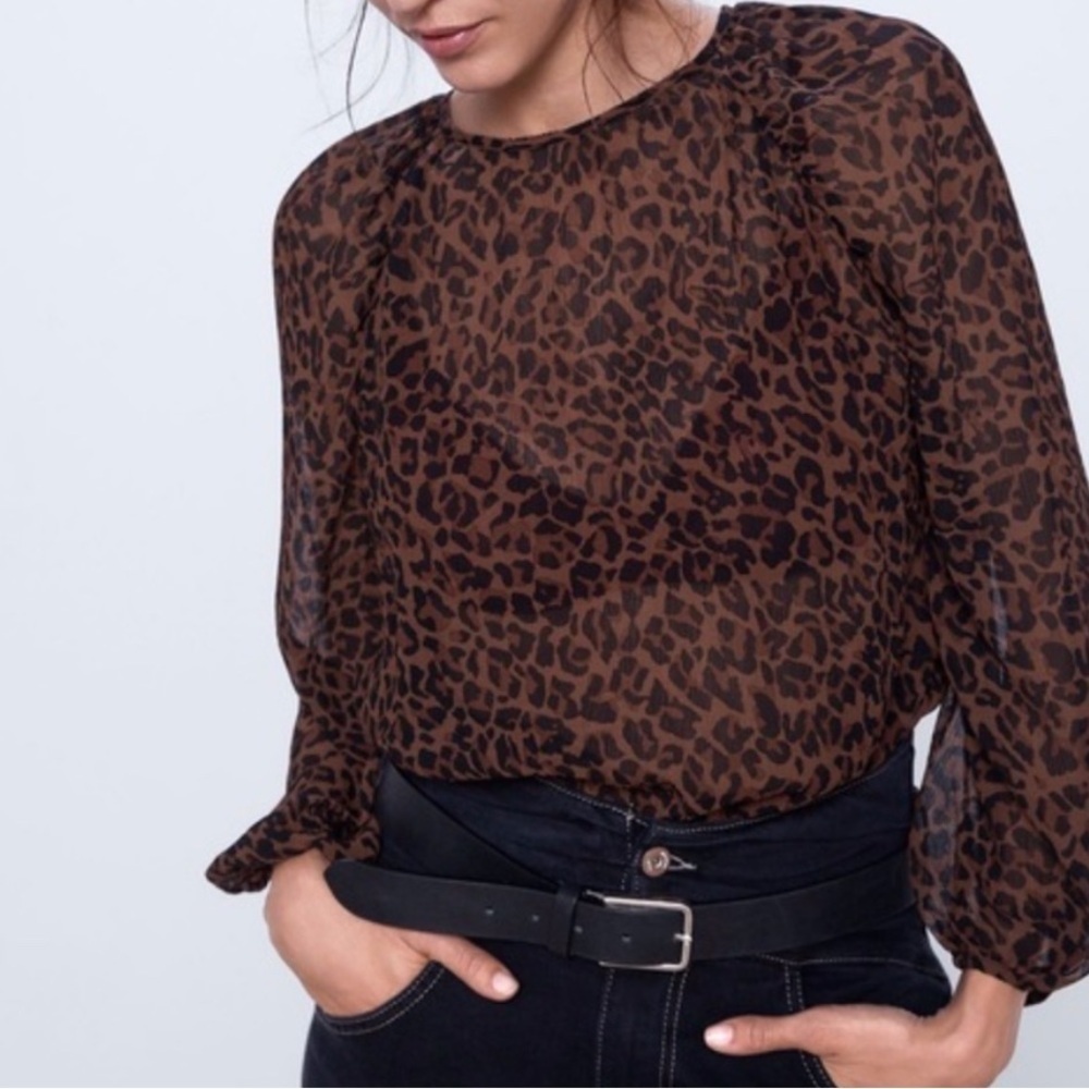 Zara Brown and Black Leopard Print Sheer Blouse
